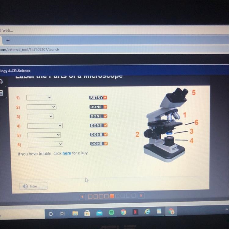 What are the different parts of a microscope?-example-1