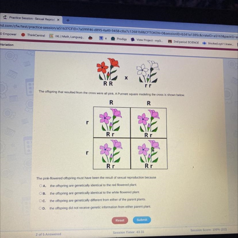 RR The offspring that resulted from the cross were all pink. A Punnett square modeling-example-1