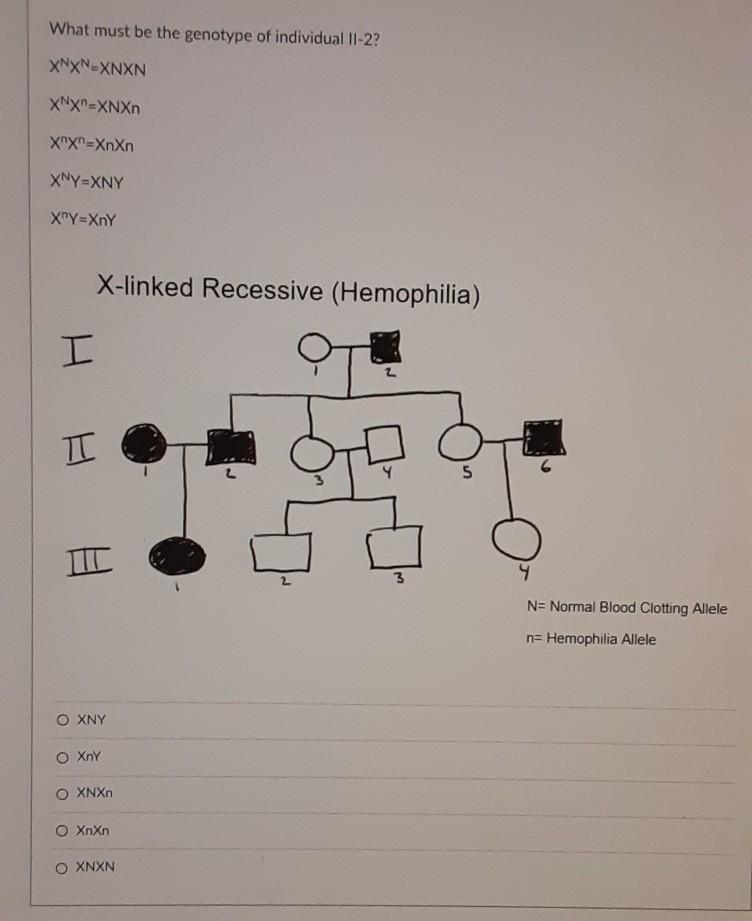 What must be the genotype?​-example-1