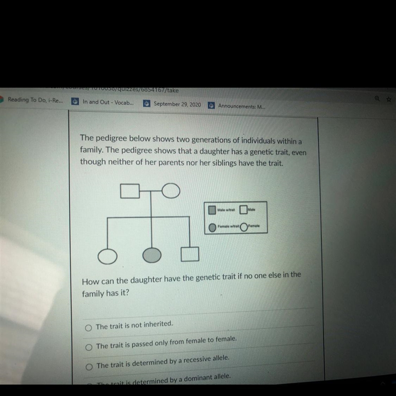 Final question pls help me-example-1