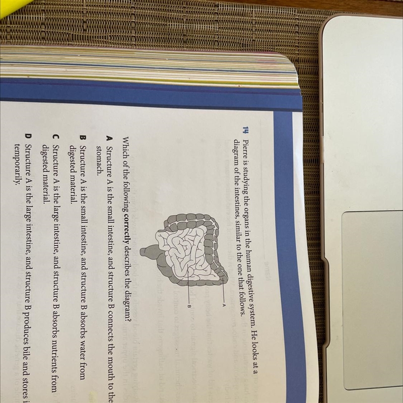 14 Pierre is studying the organs in the human digestive system. He looks at a diagram-example-1