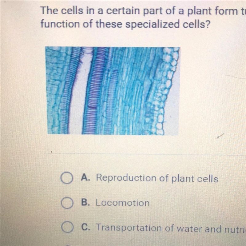 The cells in a certain part of a plant form tubes. What is the most likely function-example-1