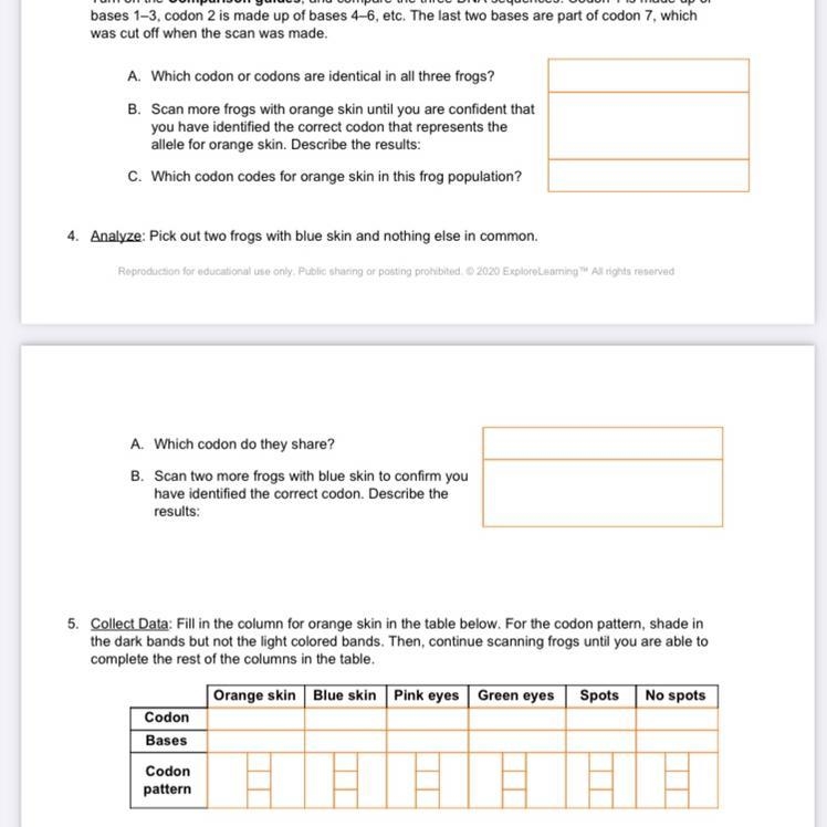 Guys answer please Guys I need help in biology in DNAnalyse-example-1