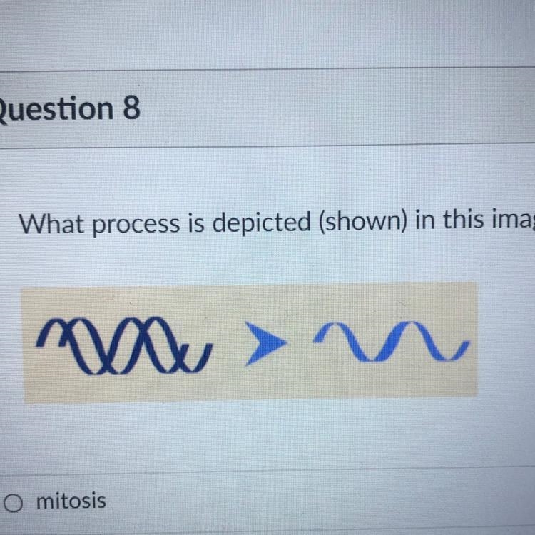 Pls help asap What process is depicted (shown) in this image? noun-example-1