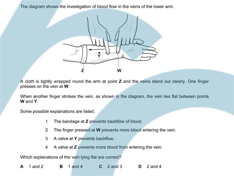 Can anyone tell the answer-example-1