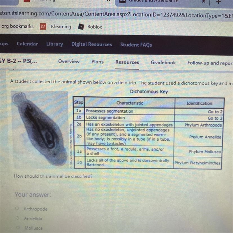 A student collected the animal shown below on field trip. The student used a dichotomous-example-1