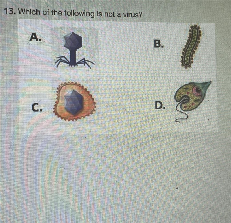 Which of the following is not a virus?-example-1