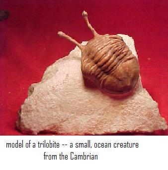 About 530 million years ago, an evolutionary period known as the "Cambrian explosion-example-1