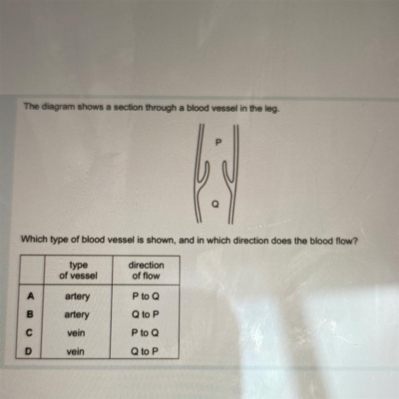 ????? can someone help pls lol-example-1