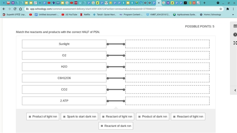 Match the reactants and products with the correct HALF of PSN.-example-1