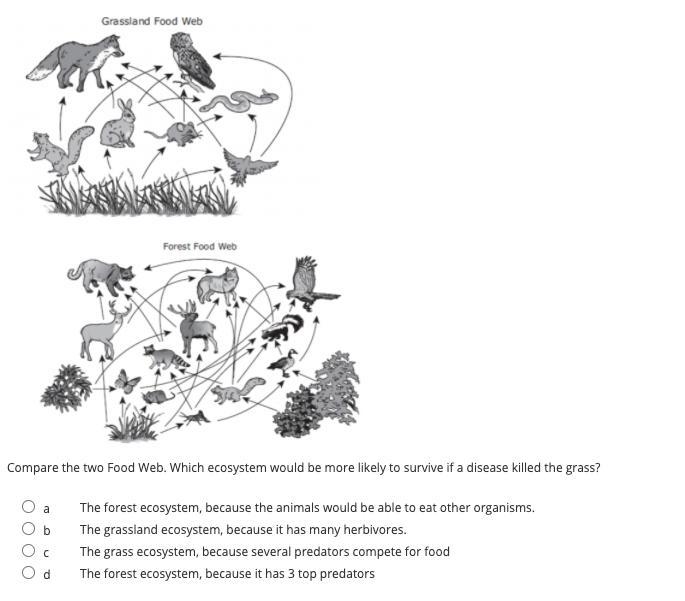 Compare the two Food Web. Which ecosystem would be more likely to survive if a disease-example-1