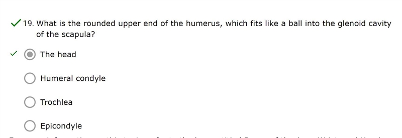 What is the rounded upper end of the humerus, which fits like a ball into the glenoid-example-1