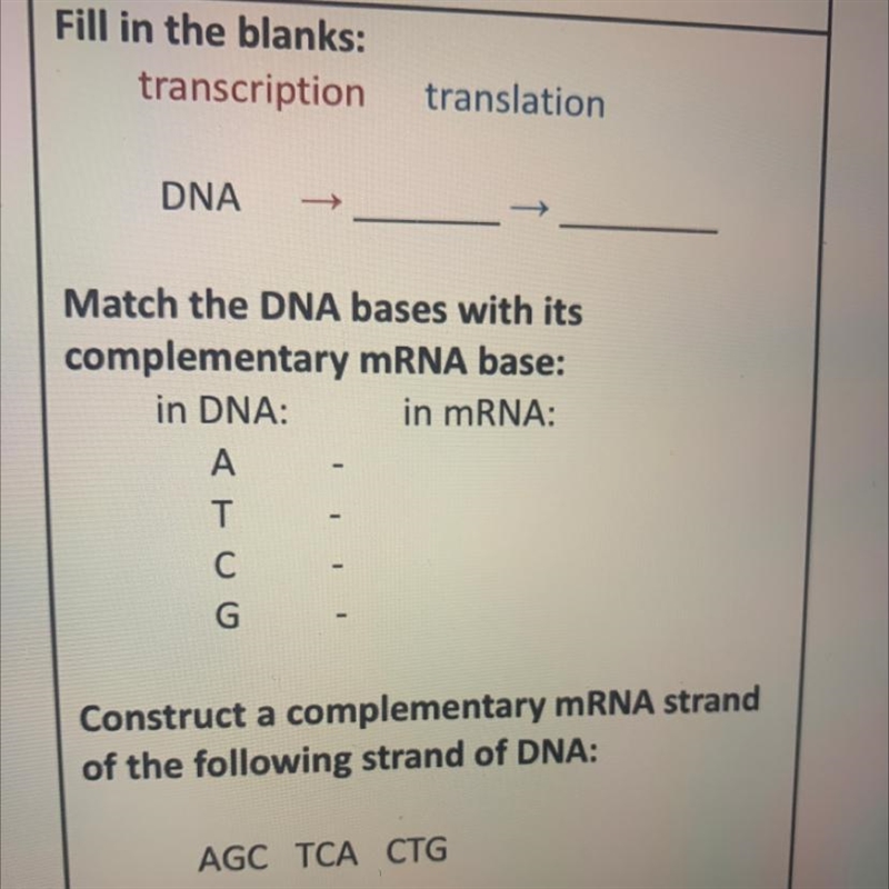 Fill in the blanks: transcription translation DNA Match the DNA bases with its complementary-example-1