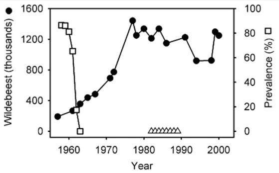 Pls help!! Consider the entire growth curve for the wildebeest population shown in-example-1