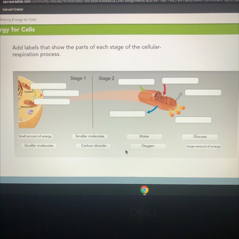 Add labels that show the parts of each stage of the cellular- respiration process-example-1