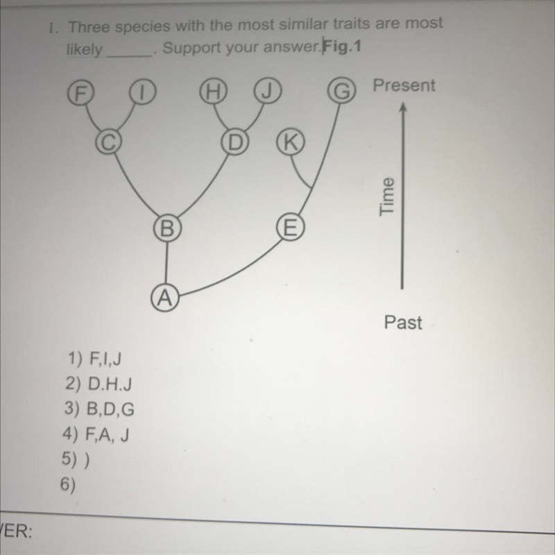 I need help not sure-example-1