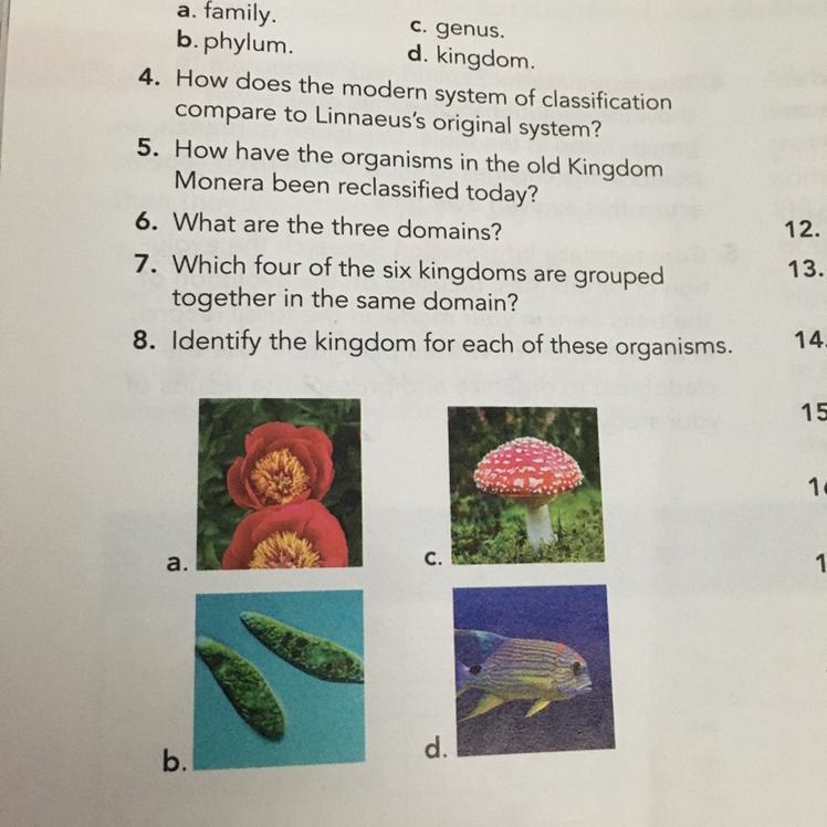 I need the answer to number 8 please :)-example-1