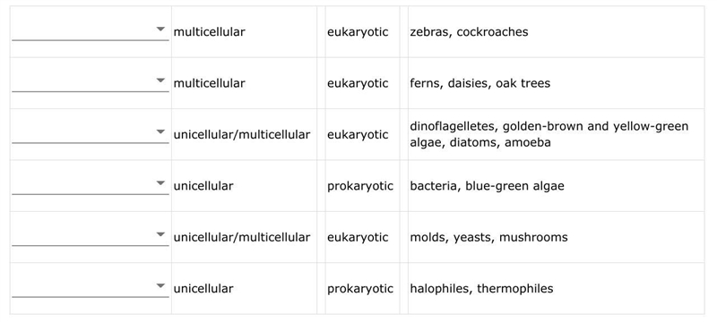 66.) Match the six kingdoms with the characteristics that describe them. a) protista-example-1