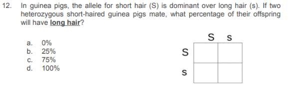 Help please im doing a science escape room and im struggling-example-2