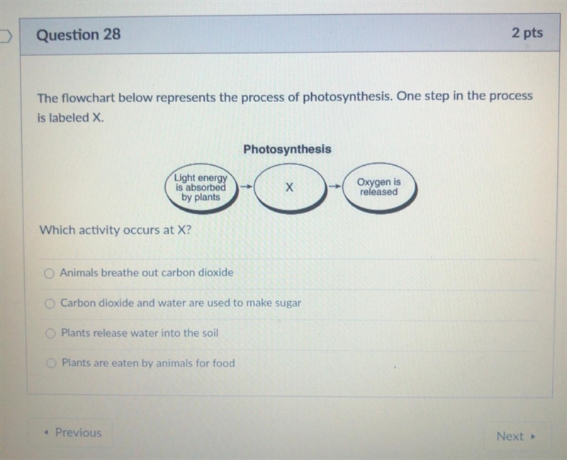 Easy points are here!!-example-1