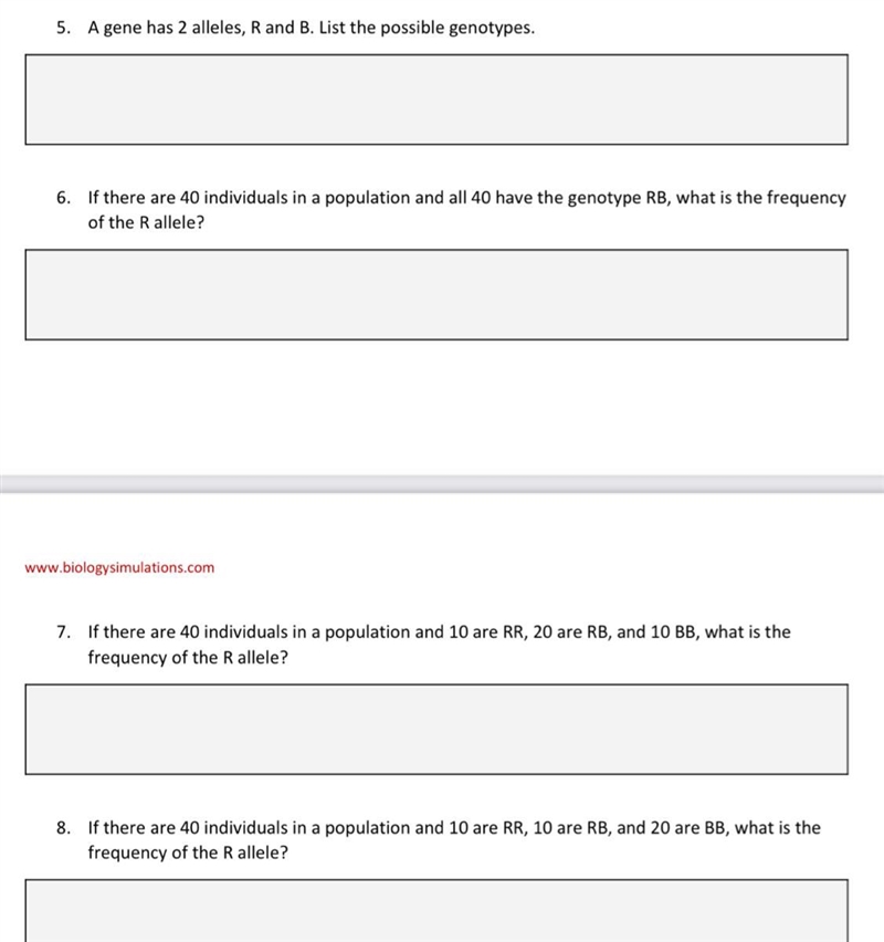 A gene has 2 alleles, R & B, List the possible genotypes? I also need help with-example-1