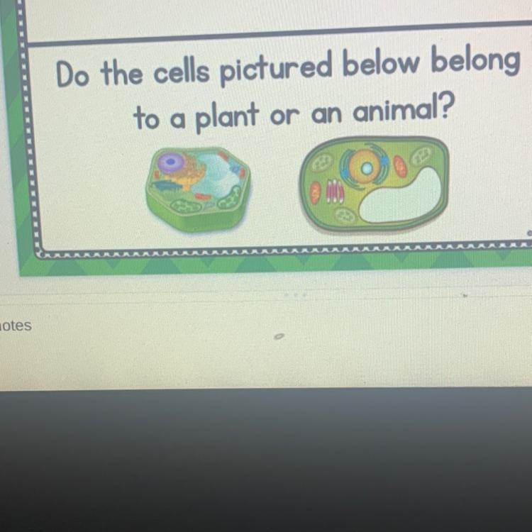 Do the cells pictured below belong to a plant or an animal?-example-1