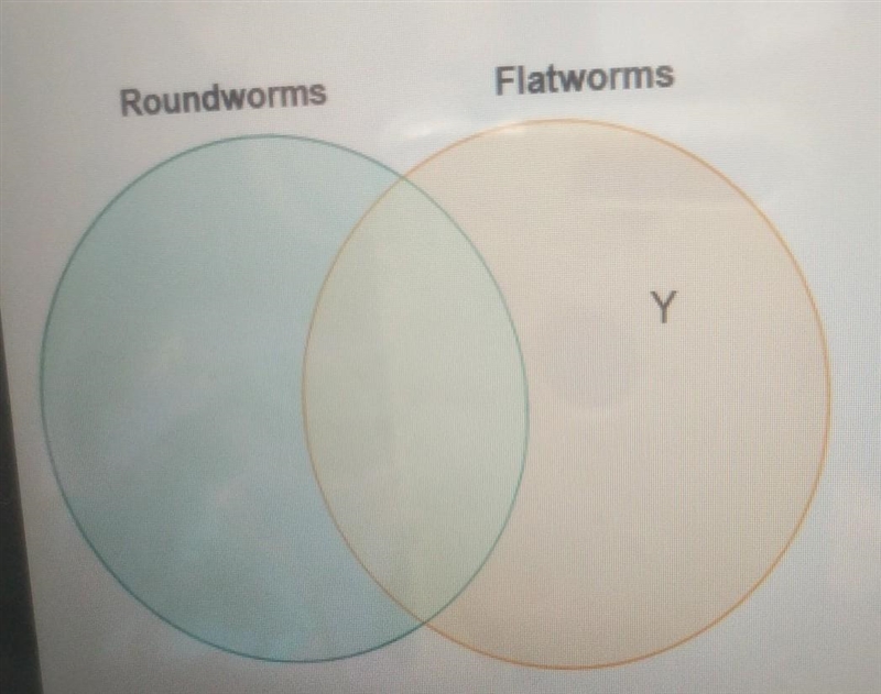 Katrina drew a diagram to compare roundworms and flatworms. Which label belongs in-example-1