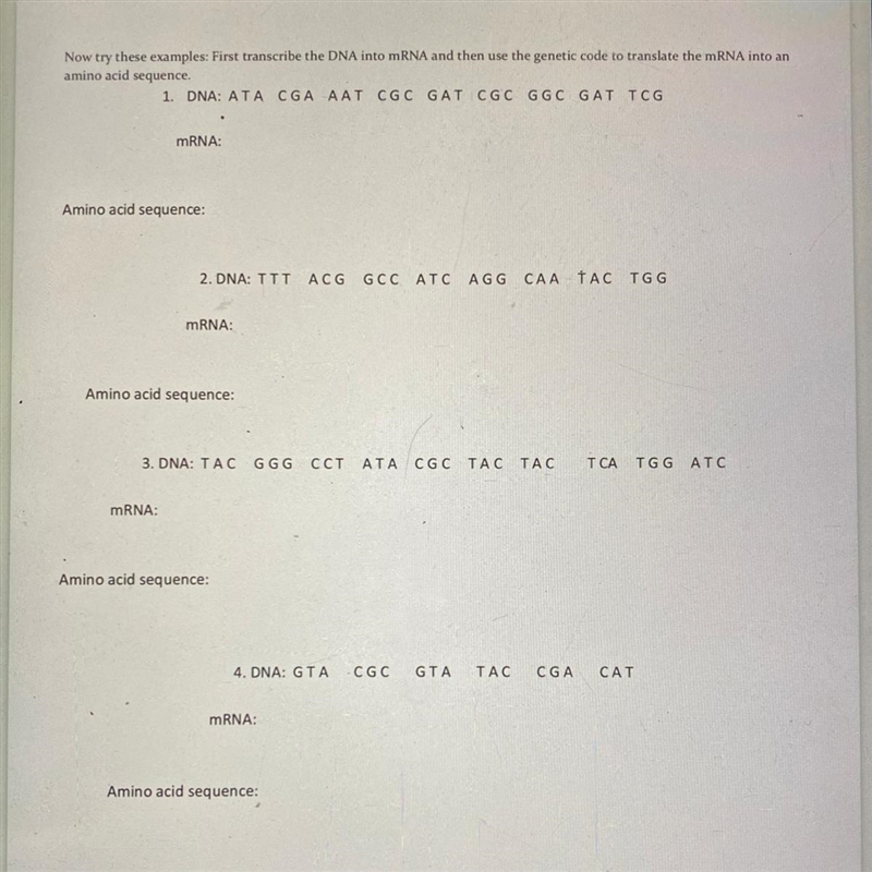 Transcription & translation worksheet anyone know how to do this?-example-1