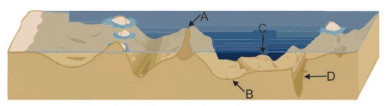 The picture below shows some features of the ocean floor. (1 point) At which of these-example-1