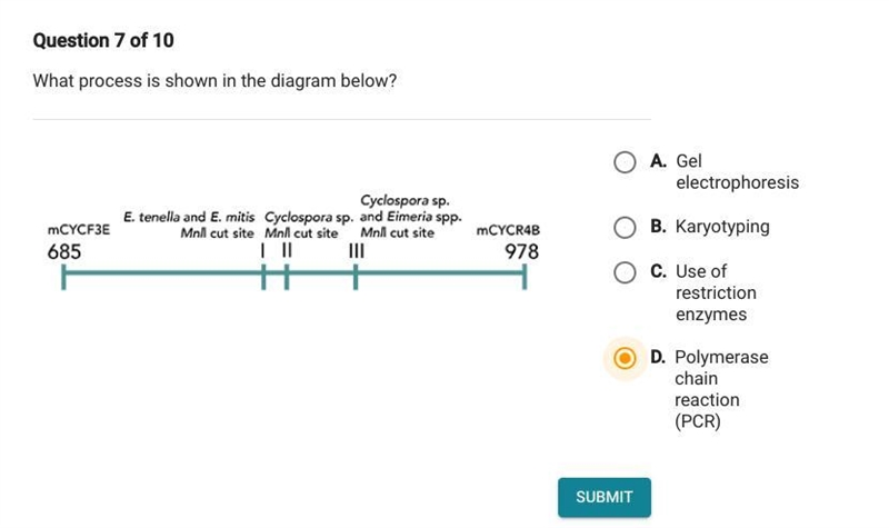 Can someone please help me with this question please?-example-1