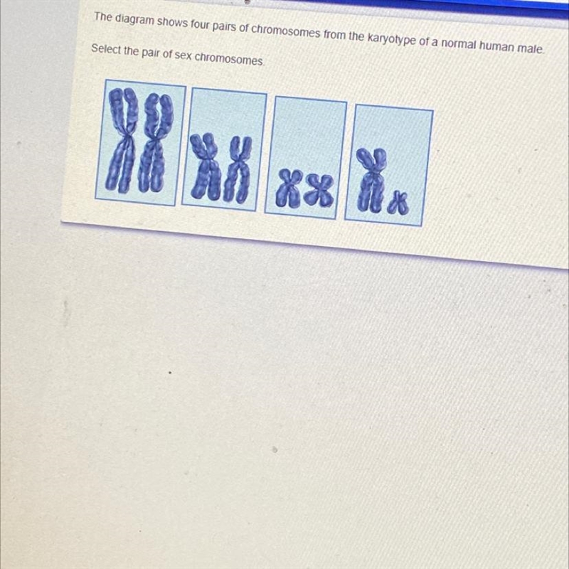 The diagram shows four pairs of chromosomes from the karyotype of a normal human male-example-1