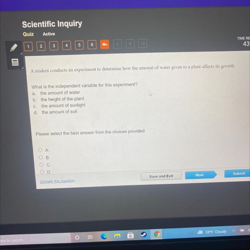 What is the independent variable for this experiment?-example-1