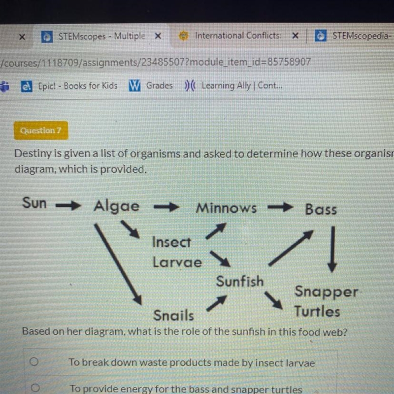 Based on her diagram, what is the role of the sunfish in this food web? A. To break-example-1