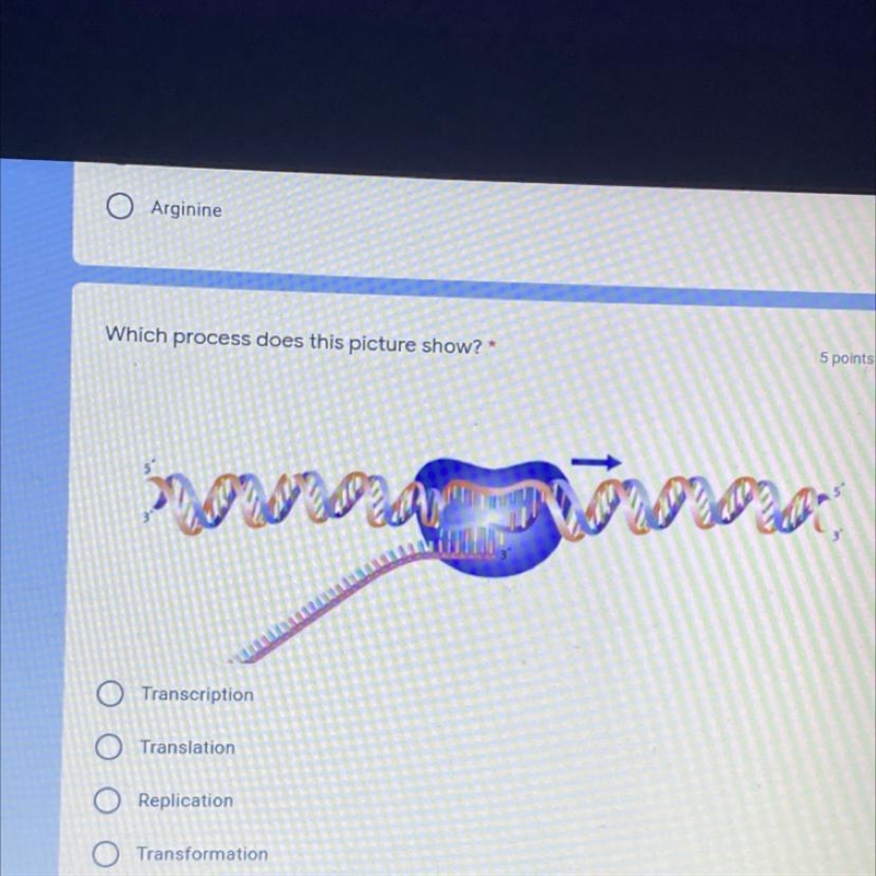 PLEASE HELP Which process does this picture show?* Transcription Translation Replication-example-1