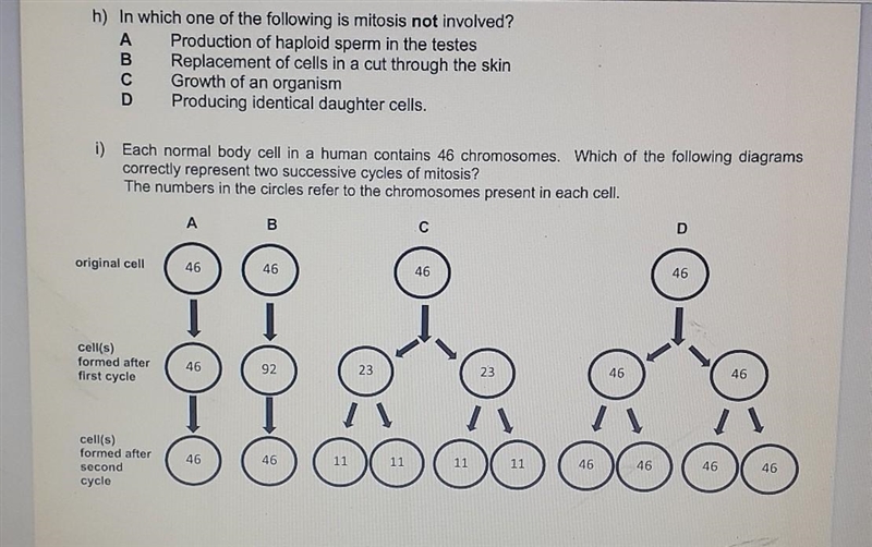 Answer h and i urgently no explanation needed ​-example-1