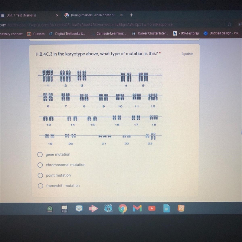 H.B.4C.3 In the karyotype above, what type of mutation is this? * 3 points 日 能 一對一群一群一群一群群一群群一群 10 11 12 |||| 13 15 16 12 2 22 23-example-1