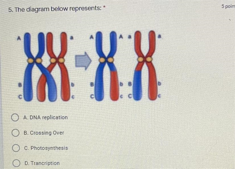 Can someone help with this?-example-1