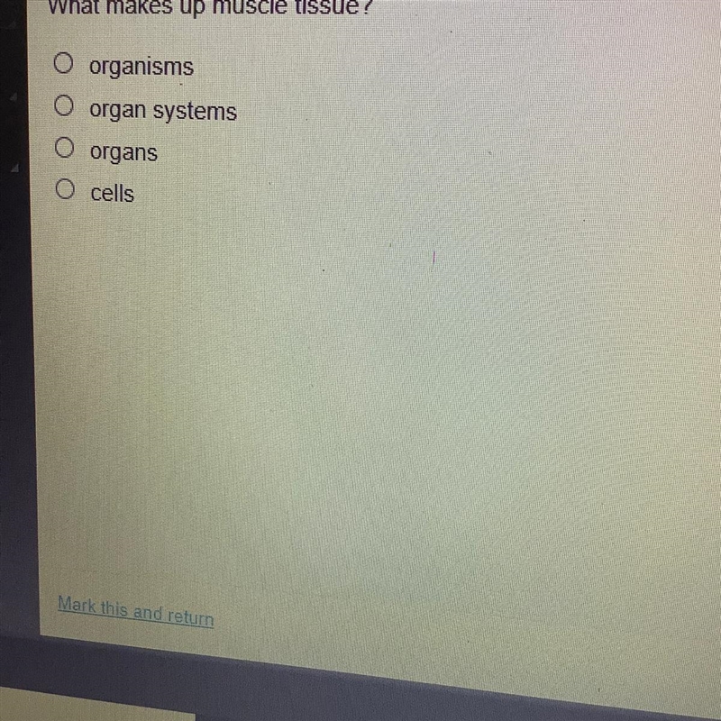 What makes up muscle tissue? o organisms O organ systems O organs Ocells-example-1