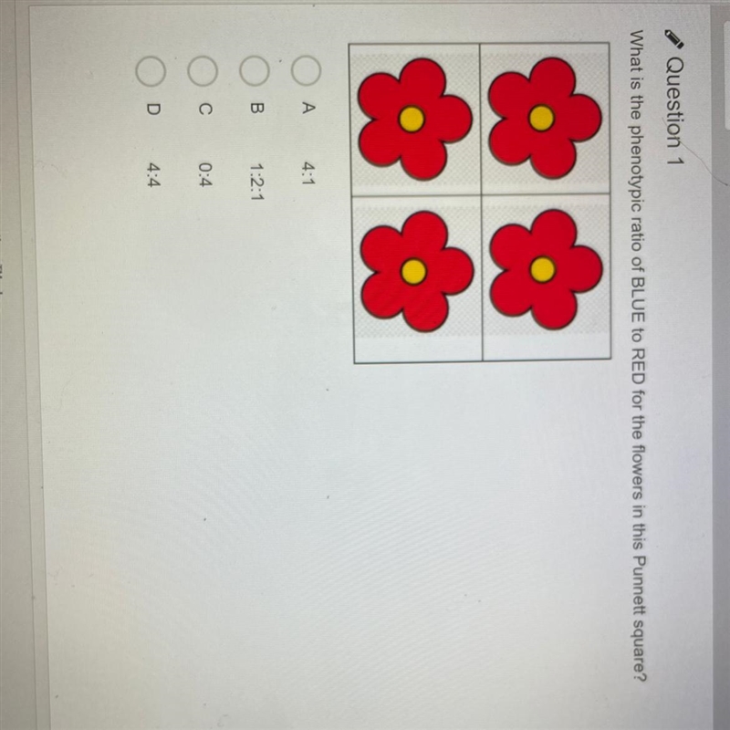 What is the phenotypic ratio of BLUE to RED for the flowers in this Punnett square-example-1