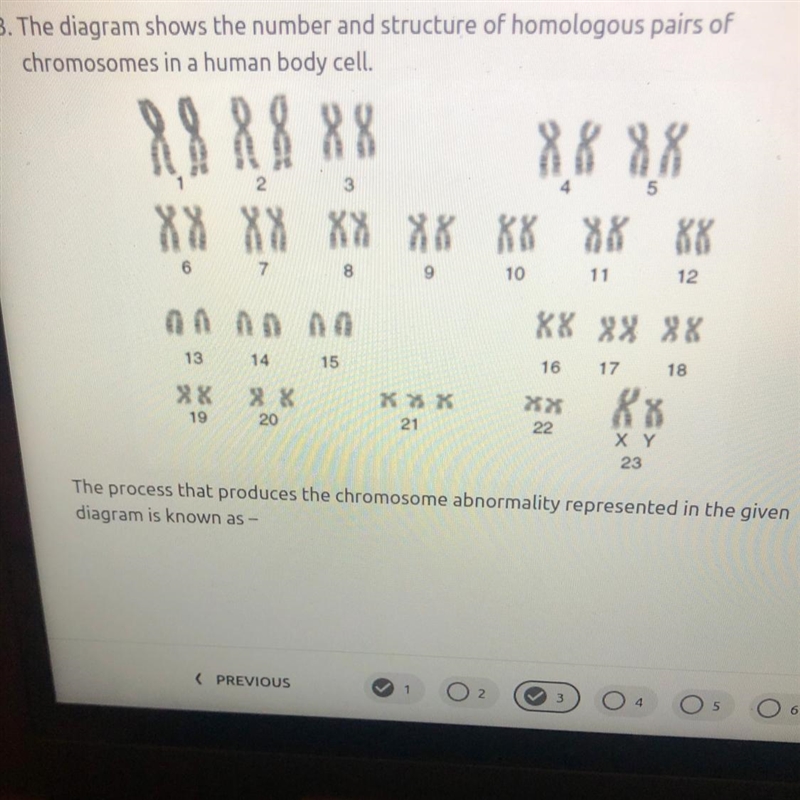 The process that produces the chromosome abnormality represented in the given diagram-example-1