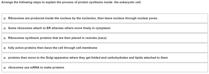 Arrange the following steps to explain the process of protein synthesis inside the-example-1