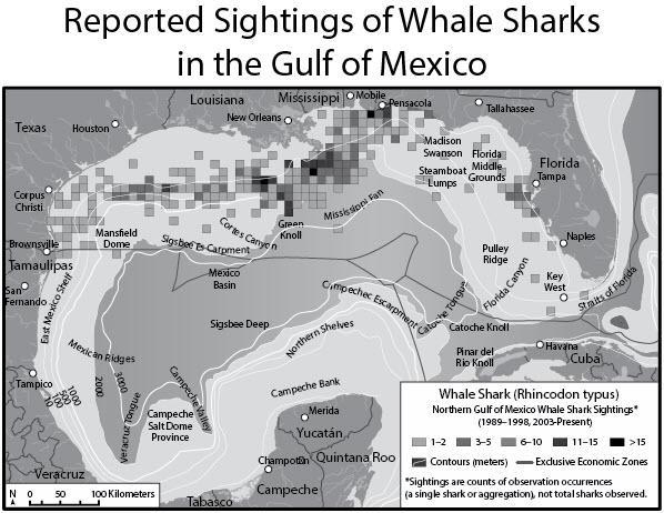 The following map of the Gulf of Mexico shows reported sightings of whale sharks. What-example-1