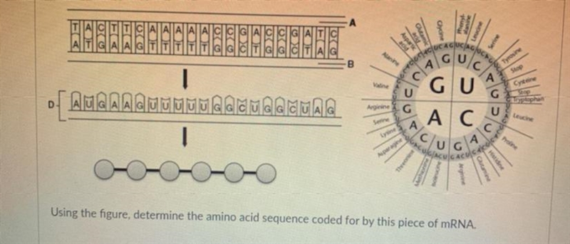 Pls help i am failing-example-1