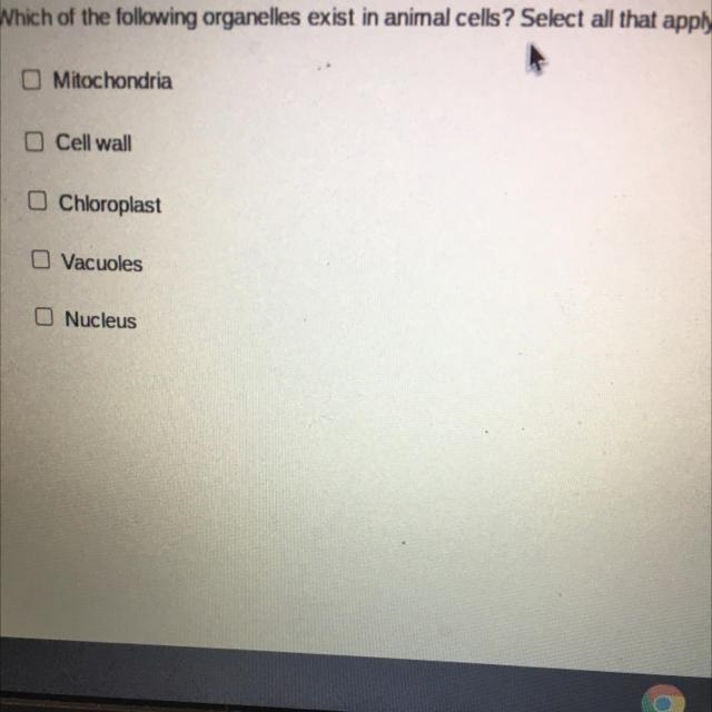 Which of the following organelles exist in animal cells? Select all that apply. O-example-1