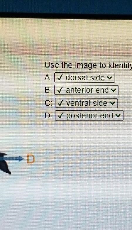 Use the image to identify each of the labeled regions? ​-example-1