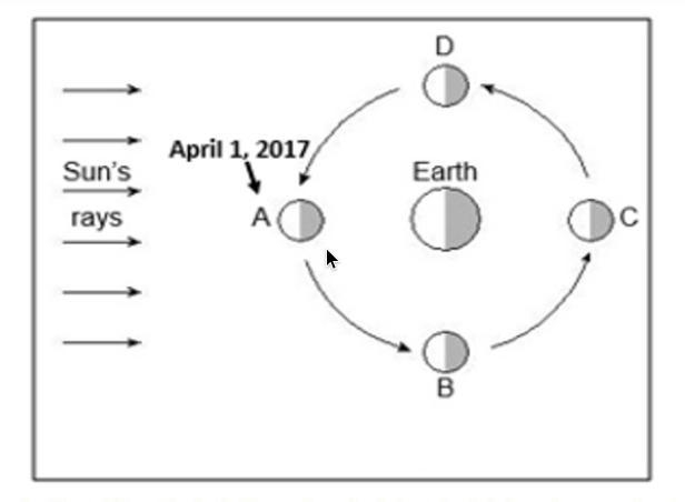 Which statement BEST describes the moon’s position in 14 days and why?-example-1