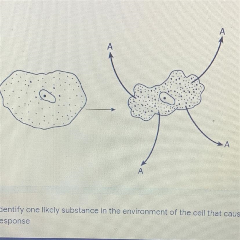 Identify substance A. 1) Glucose 2) Salt 3) Water 4) Starch-example-1