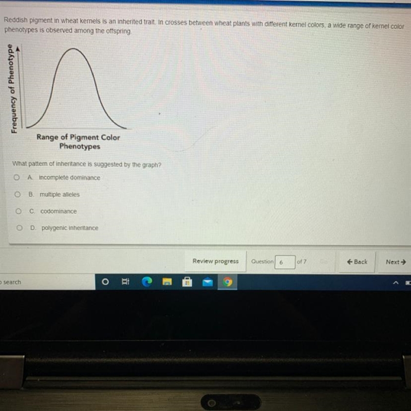 What pattern of inheritance is suggested by the graph? A. incomplete dominance B. multiple-example-1