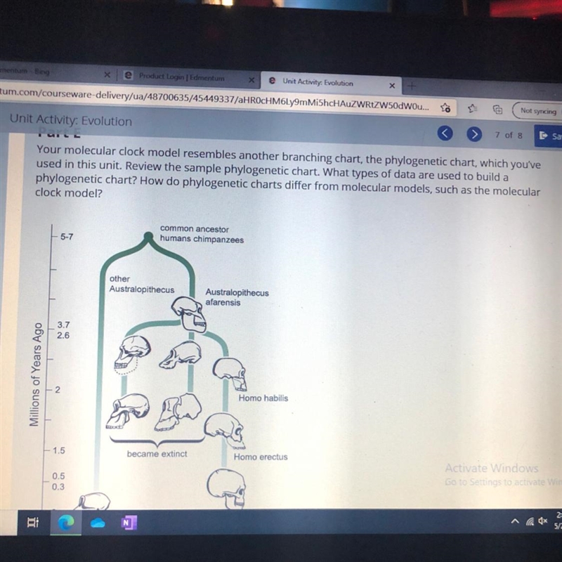 Part E Your molecular clock model resembles another branching chart, the phylogenetic-example-1