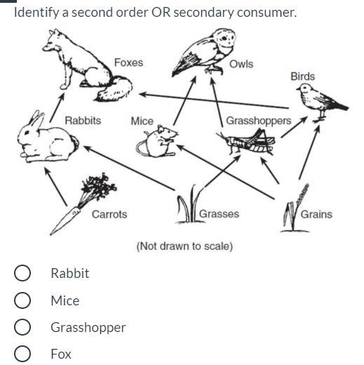 Please help with this question-example-1